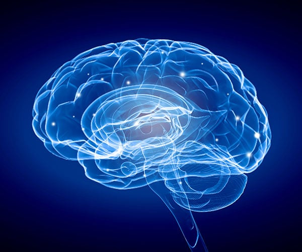 Beets-Brain-Function-600