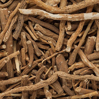 ashwagandha-boosts-testosterone-strength ashwagandha-boosts-testosterone-strength