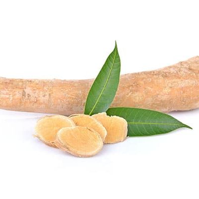 longjack-tongkat-ali-boosts-testosterone longjack-tongkat-ali-boosts-testosterone