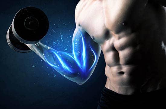 Force X7 Testosterone Surge