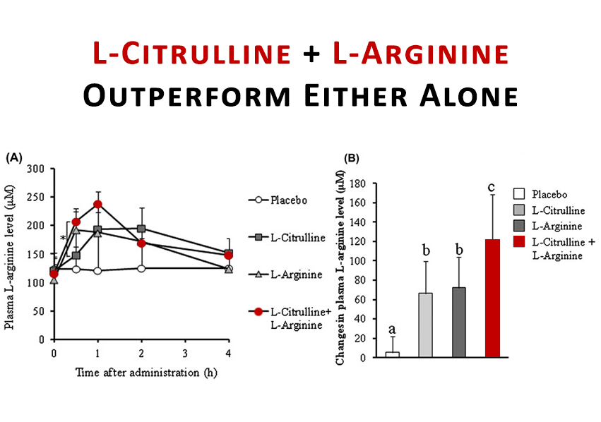 L-Citrulline & L-Arginine Outperform Either Alone